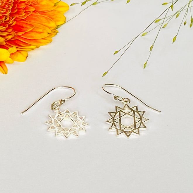 Attractive Solid Silver Earrings - £14.99