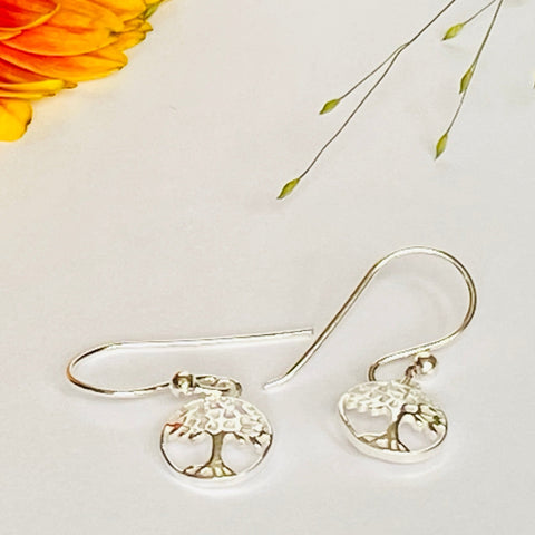 Delicate and Elegant Solid Silver Earrings