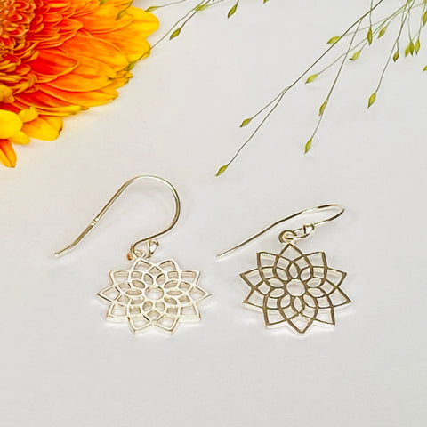 Attractive Solid Silver Earrings