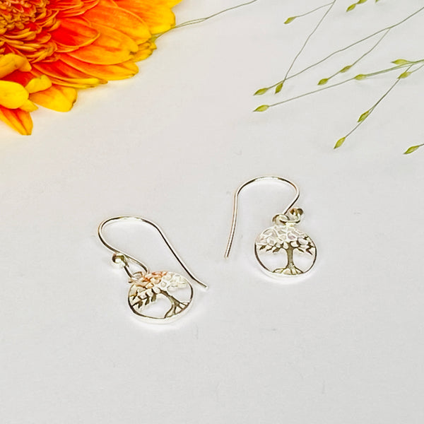Delicate and Elegant Solid Silver Earrings