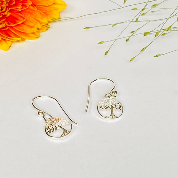 Delicate and Elegant Solid Silver Earrings