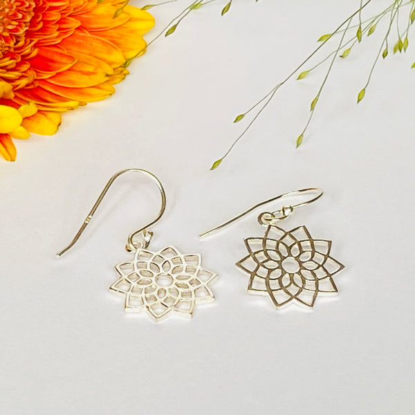 Attractive Solid Silver Earrings